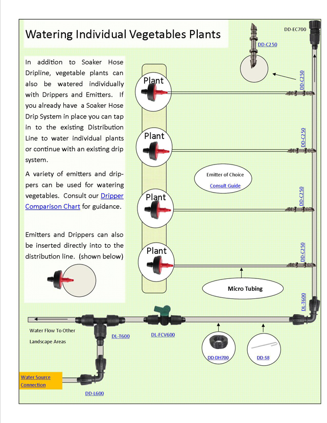 Watering Vegetable Garden With Drip Irrigation Systems